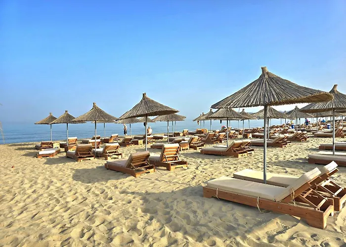 Sunny - 147 德拉克